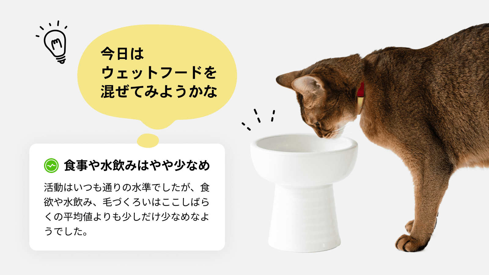 スコア表示と活用の例:「食事や水飲みやや少なめ 活動はいつもどおりの水準でしたが、食欲や水飲み、毛づくろいはここしばらくの平均値よりも少しだけ少なめのようでした。」右「今日はウェットフードを混ぜてみようかな」
