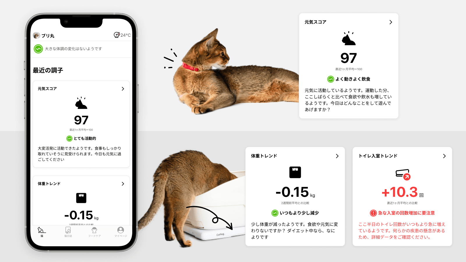 猫様の調子を「スコア」で表示