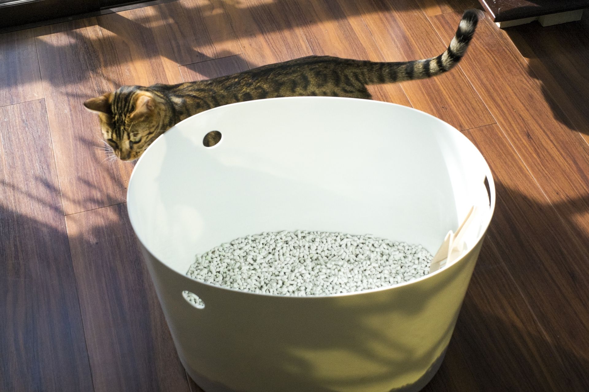 猫トイレ 多頭飼い トイレ 猫 全自動 ネコトイレ 多頭飼い 静音設計