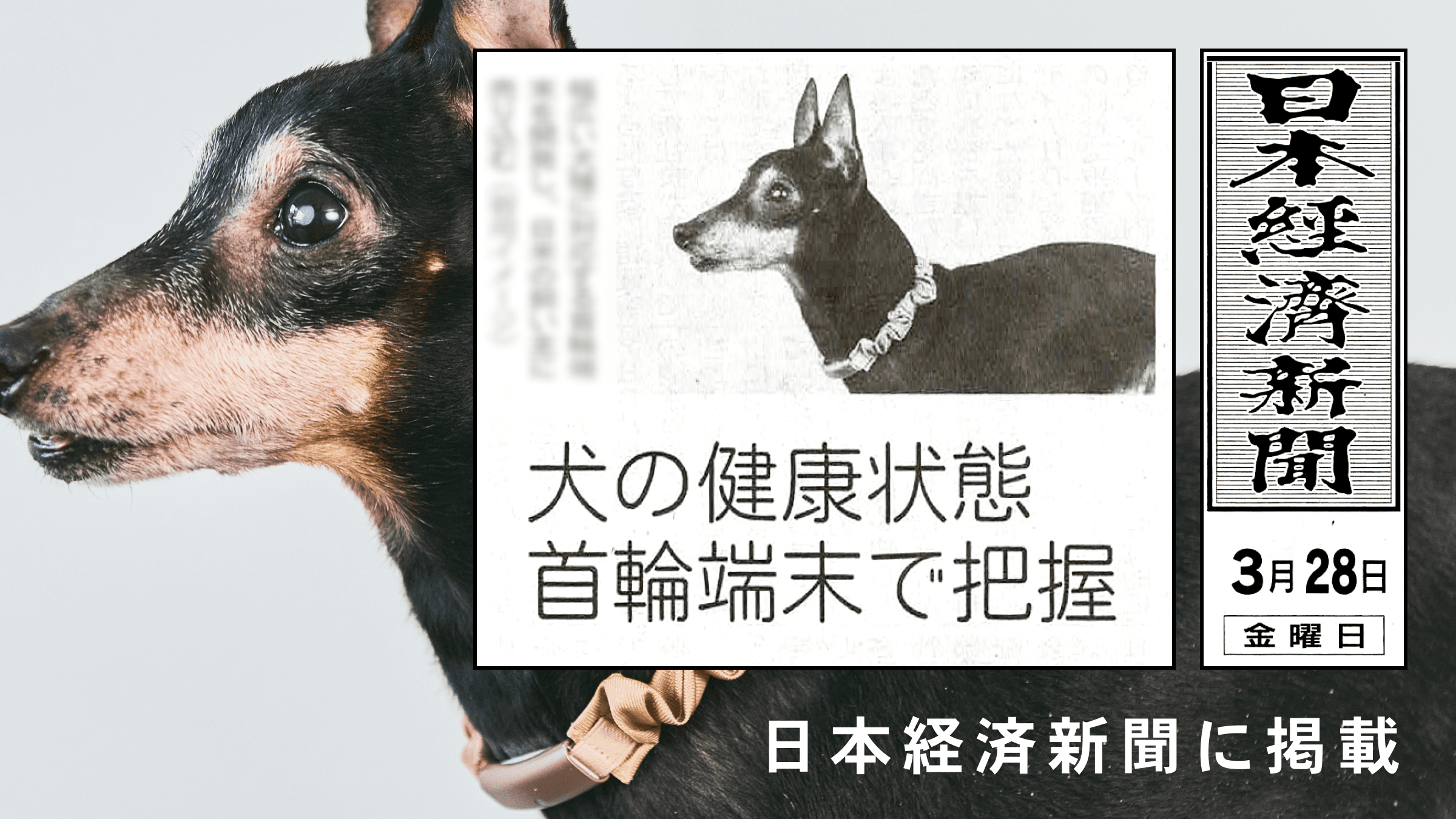 日本経済新聞の掲載記事