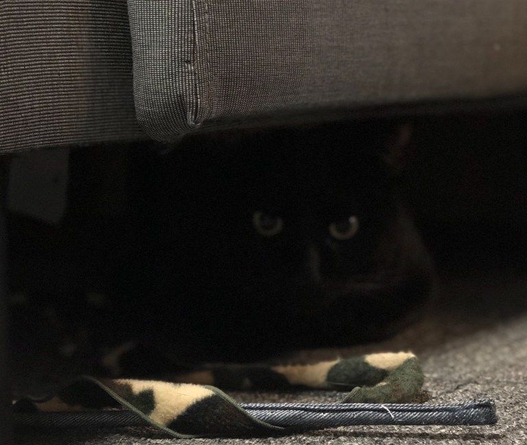 オリバーソファーの下