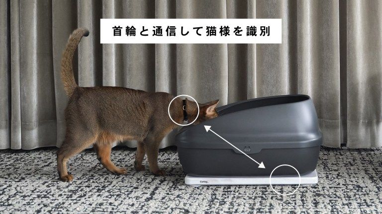 首輪と通信して猫様を識別