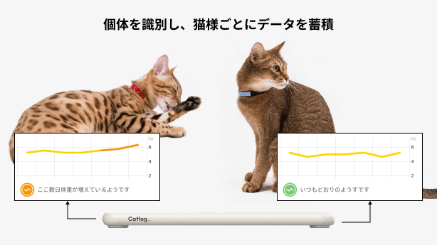 個体を識別し、猫様ごとにデータを蓄積