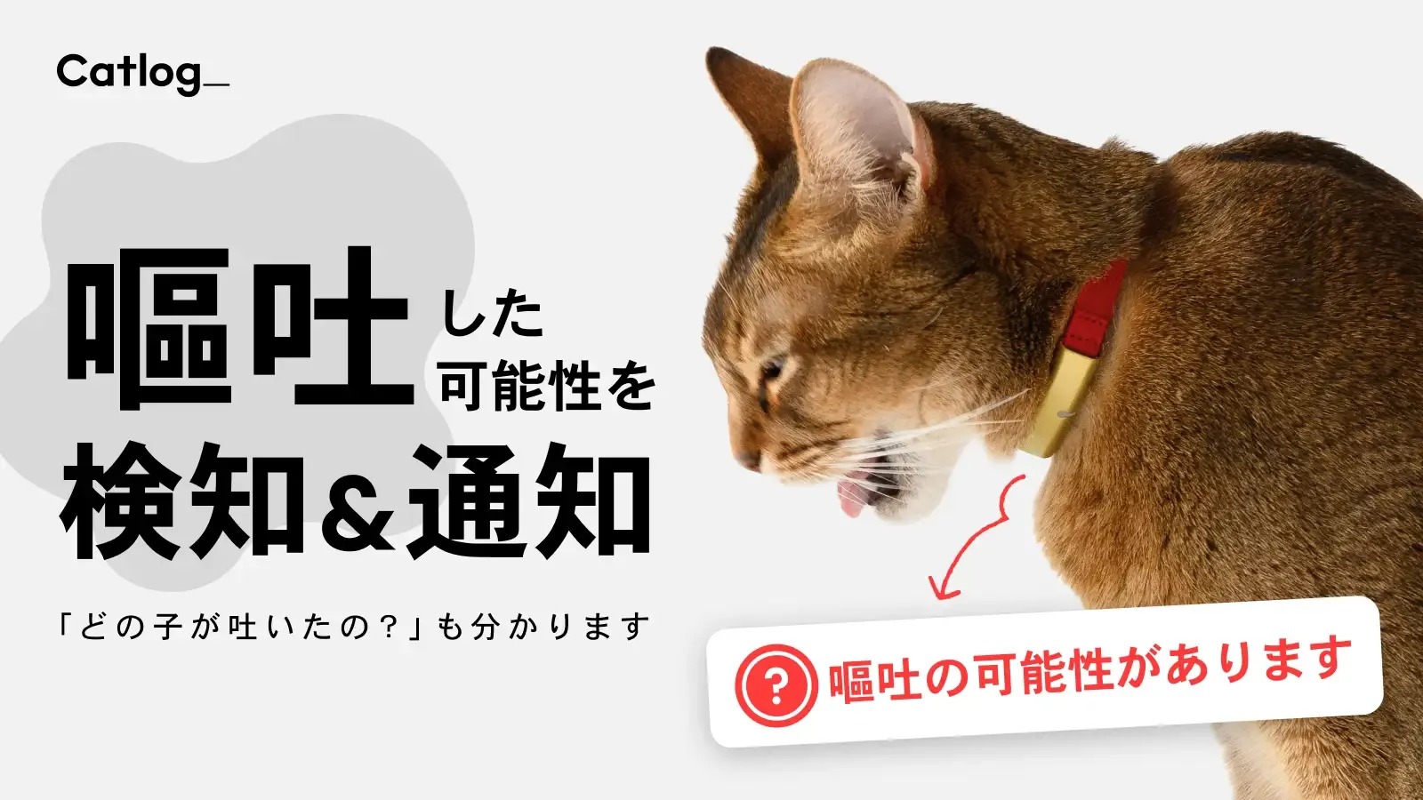 次世代のスマート猫首輪Catlog®（キャトログ）、猫様の「嘔吐」の可能性をAIが検知、飼い主さんにお知らせ
