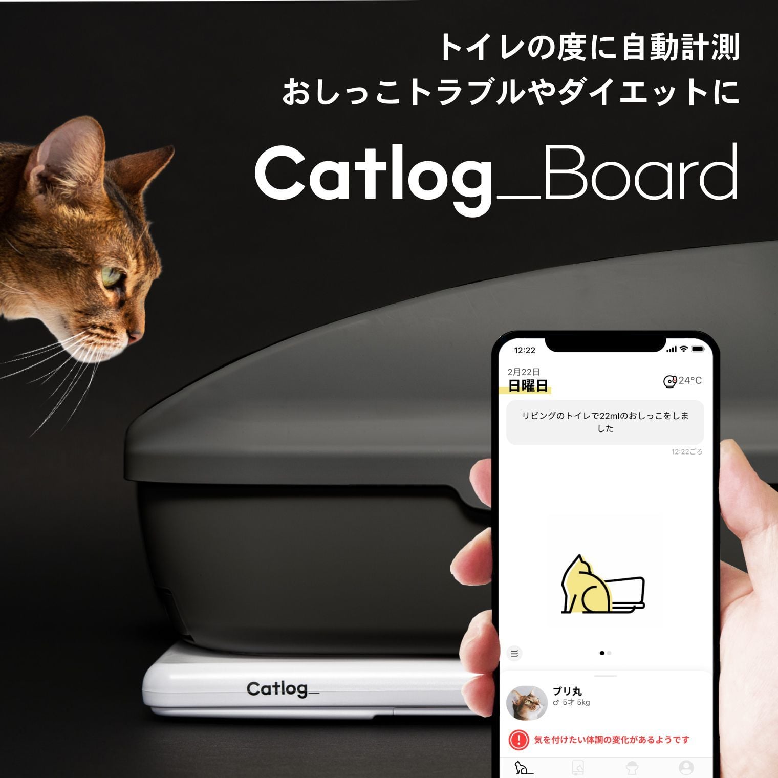 猫 トイレ 回数