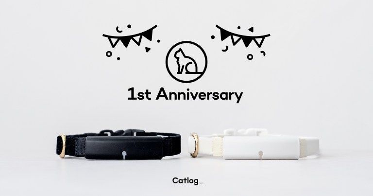 Catlog 1st Anniversary