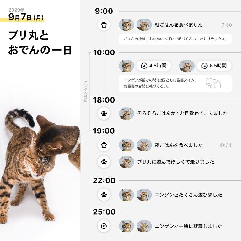 2020年9月7日(月) ブリ丸とおでんの一日 9時30分 ブリ丸、おでん 朝ごはんを食べました ごはんの後は、おなかいっぱいで毛づくろいしたりリラックス。10時〜19時ニンゲン外出 10時台 ブリ丸 睡眠4.8時間 おでん 睡眠6.5時間 ニンゲンが留守の間は2匹ともお昼寝タイム。お昼寝の間に毛づくろい。 18時台 おでん そろそろごはんか!?と目覚めて走りました 19時4分 ブリ丸、おでん 夜ごはんを食べました おでん ブリ丸に遊んでほしくて走りました 22時台 ニンゲンとたくさん遊びました 25時台 ニンゲンと一緒に就寝しました