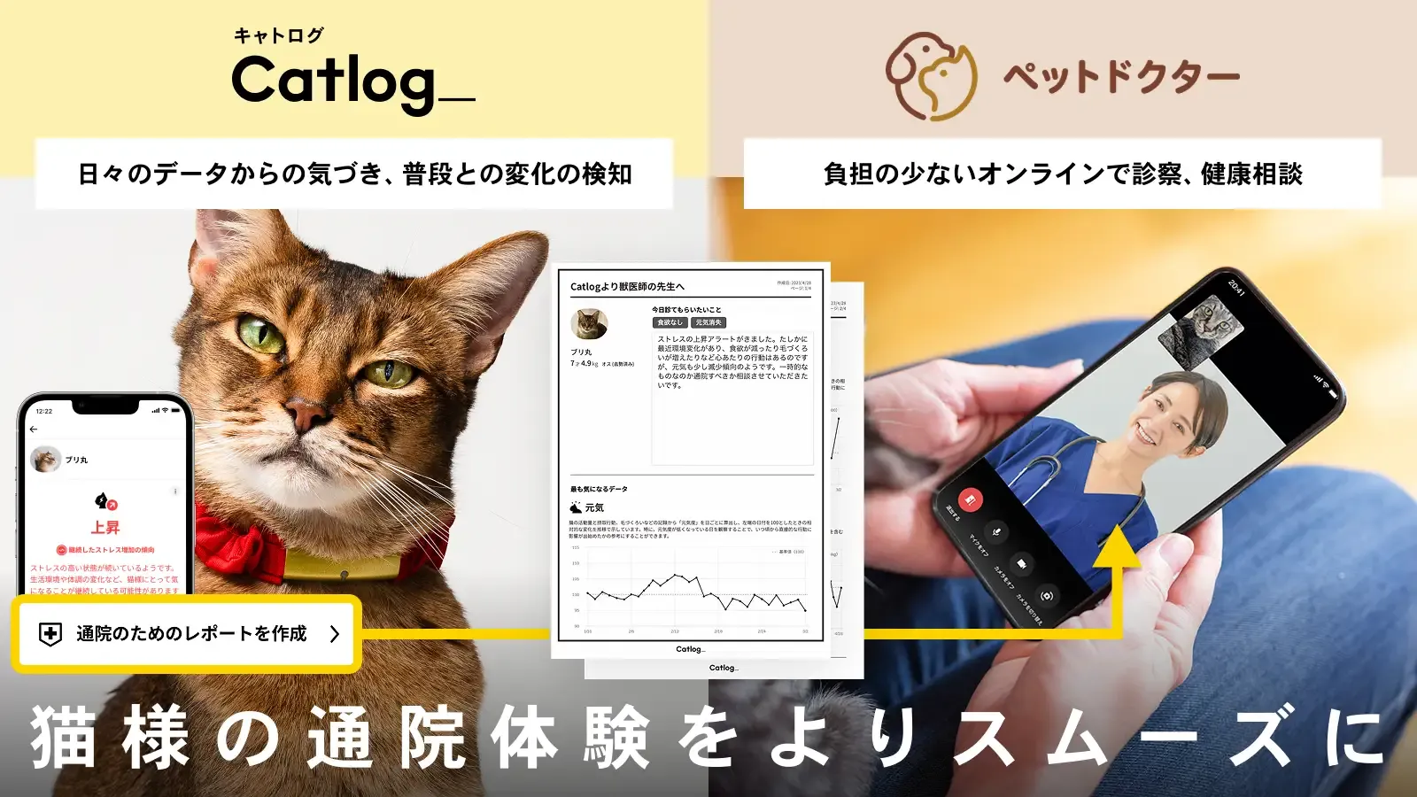 catlog pet doctor