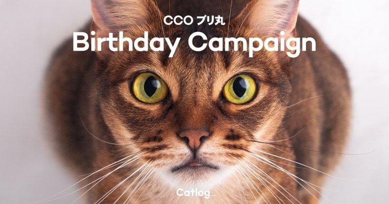 cco birthday2