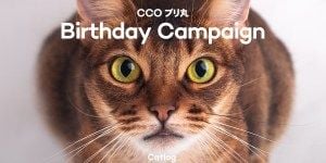 cco birthday