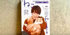 Catlogを掲載いただきました