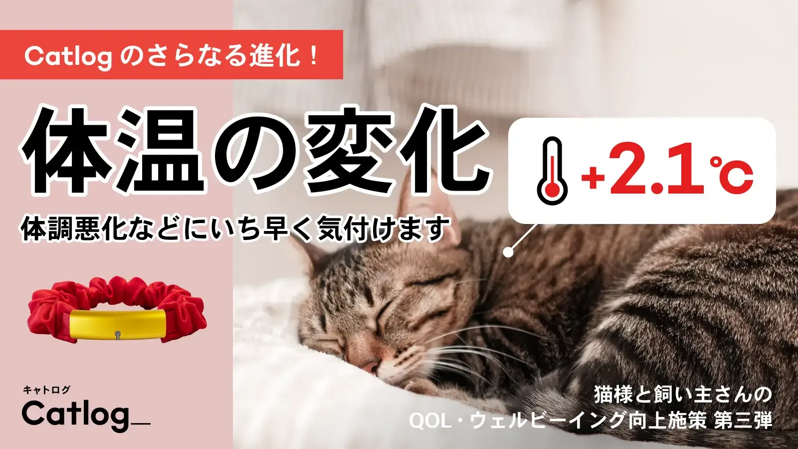 猫様の体調悪化などをいち早く気づける「体温の変化」機能が次世代のスマート猫首輪「Catlog®(キャトログ)」へ追加!