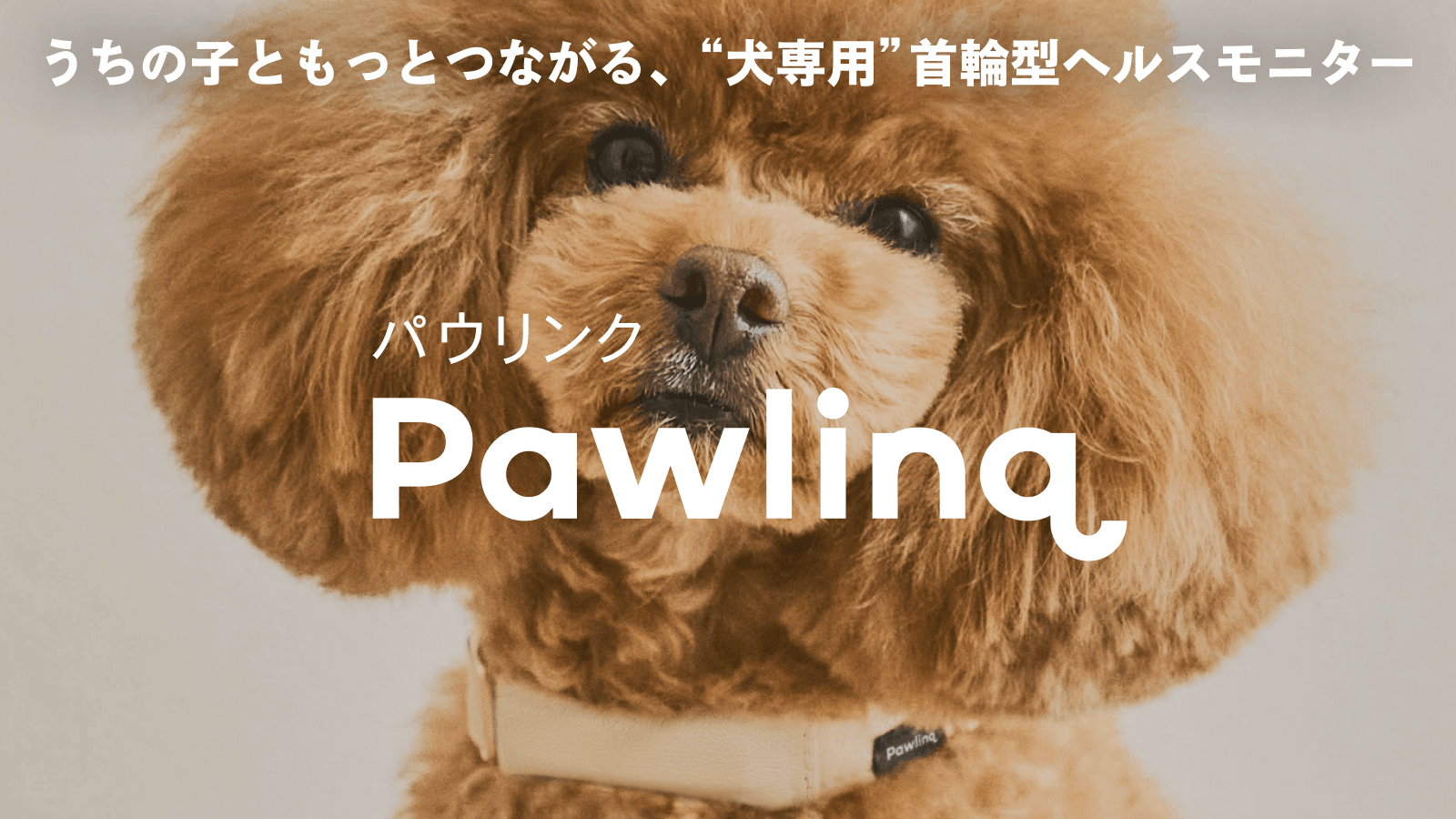 Catlog®を展開するRABO、うちの子ともっとつながる、”犬専用”首輪型ヘルスモニター『Pawlinq™（パウリンク）』を2月24日より販売開始