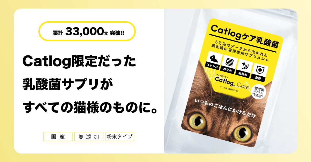 累計33,000食を突破した猫様専用の乳酸菌サプリメント『Catlogケア乳酸菌』、会員登録不要でどなたでも購入可能に!約6,000株の乳酸菌から免疫やストレスに着目して猫様のために選び抜いたものを、すべての猫様へ。