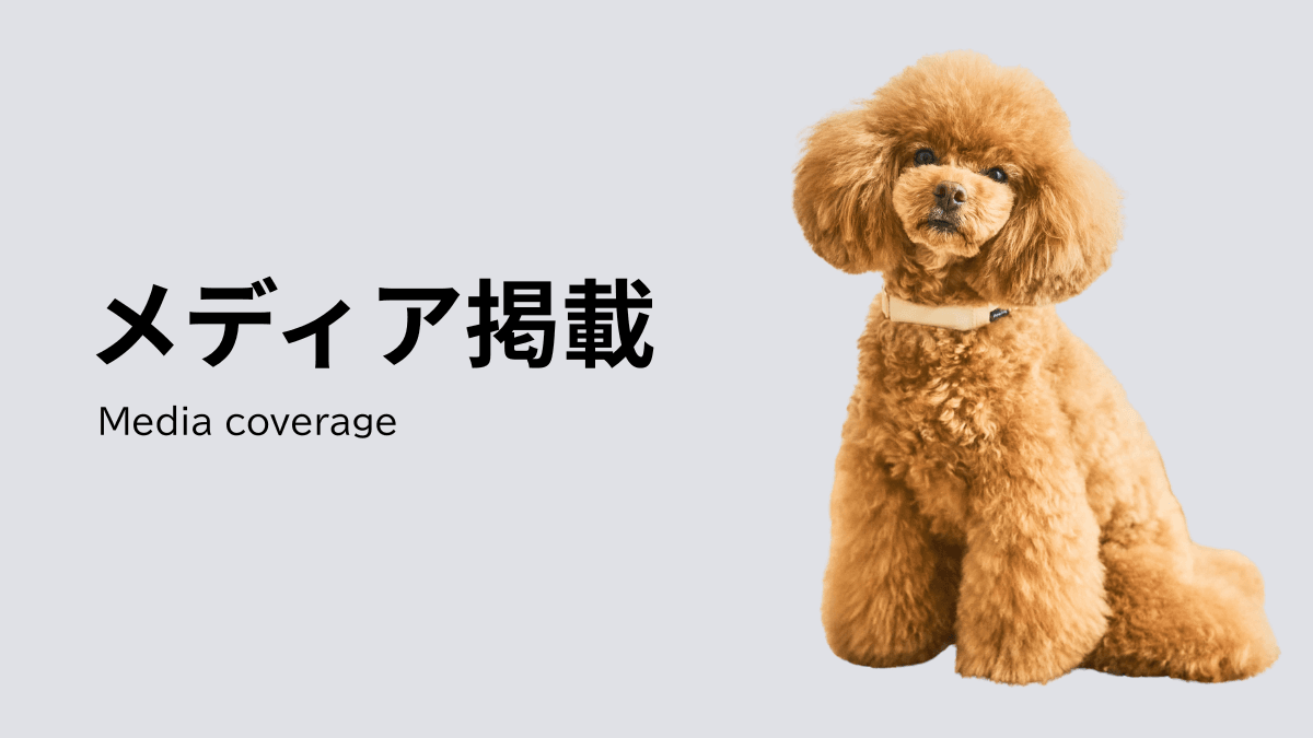 【メディア掲載情報】テレビ東京「WBS(ワールドビジネスサテライト)」で紹介