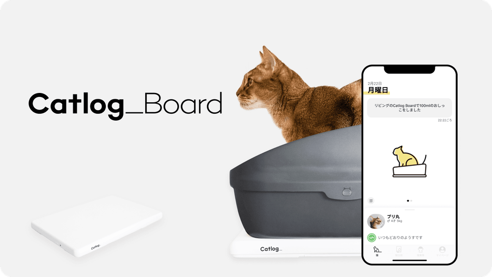 話題のCatlog Boardをレンタルでお試し！ 月額750円から利用できて